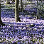 Apartma Javorscek Apartment