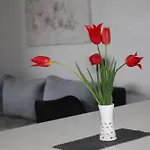 Lejlighed Apartma Javorscek Bovec