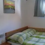 Apartma Javorscek *