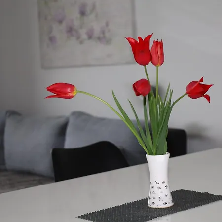 아파트 Apartma Javorscek 보베츠