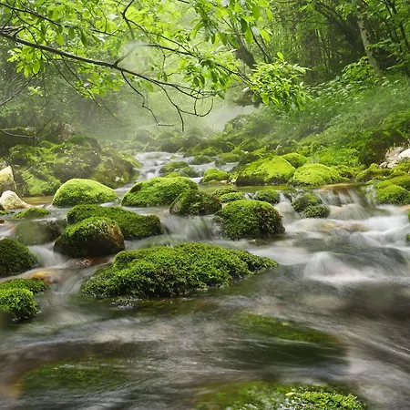 Apartma Javorscek Apartment Bovec