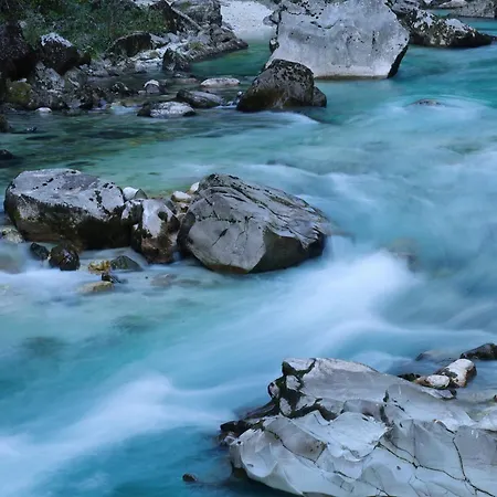 Apartma Javorscek Apartment *